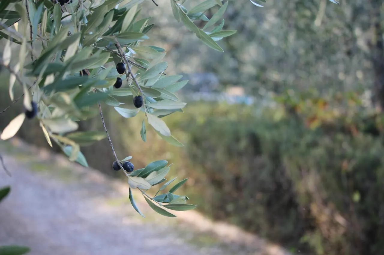 Country house Casa Vacanze Rondini Blu Montespertoli Italy